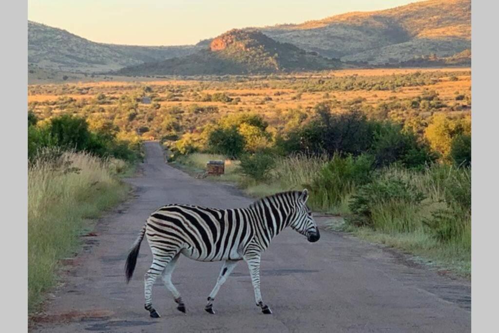 Rhino House With 3 Bedrooms Next To Pilanesberg And Sun City Mogwase Dış mekan fotoğraf