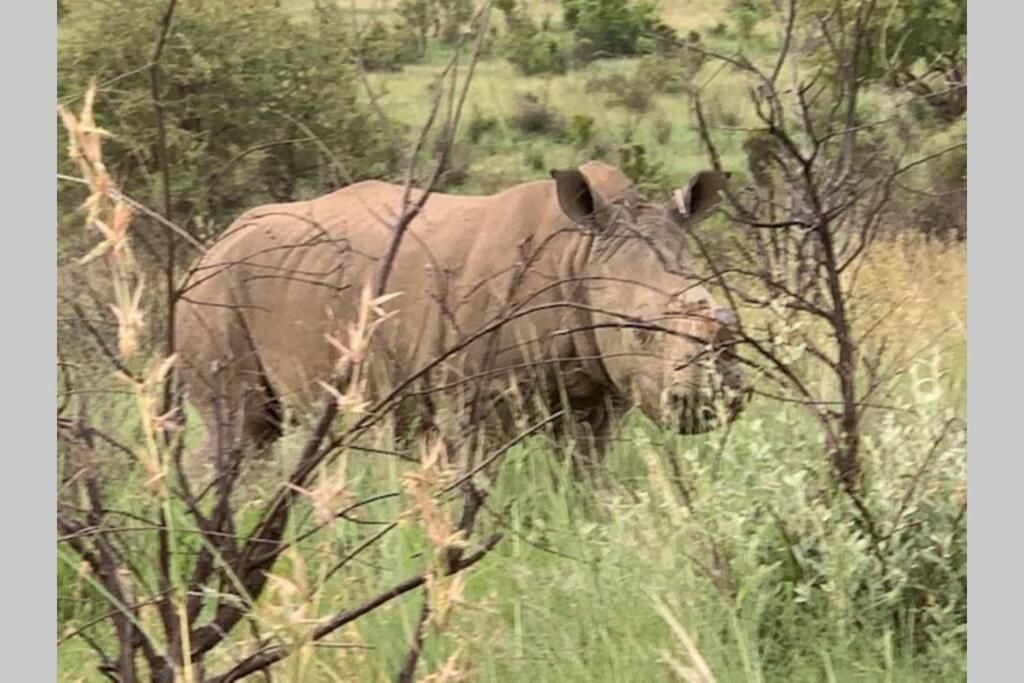 Rhino House With 3 Bedrooms Next To Pilanesberg And Sun City Mogwase Dış mekan fotoğraf